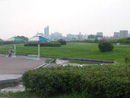 淀川河川敷公園の広場