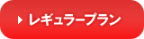 レギュラープランへジャンプ
