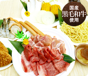 レディースプラン